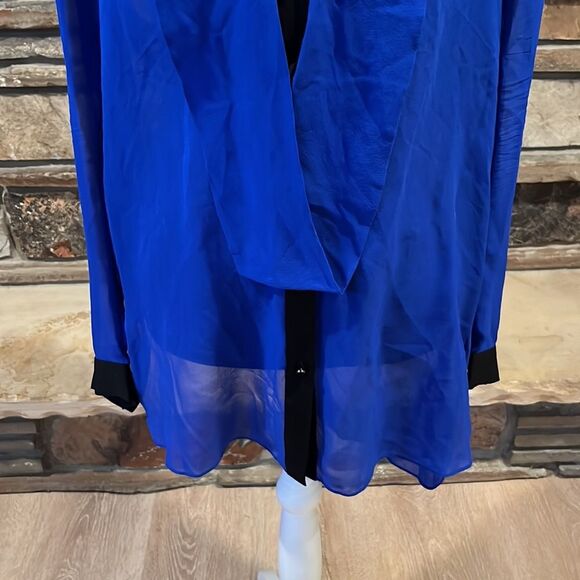 Robert Rodriguez Sheer Silk Blue and Black Long Sleeve Blouse - Picture 3 of 8